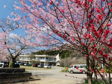 HOME | 千葉県いすみ市にある障害者施設、社会福祉法人 槇の里 いすみ